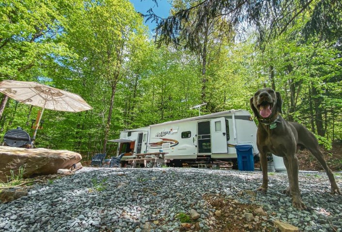 The Ultimate Guide to Pet-Friendly RV Camping Adventures